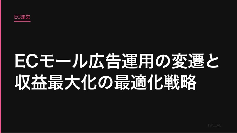 主要ECモール広告運用の変遷と収益最大化のための広告費最適化戦略