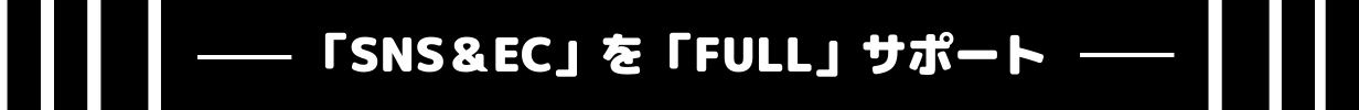 ご支援内容