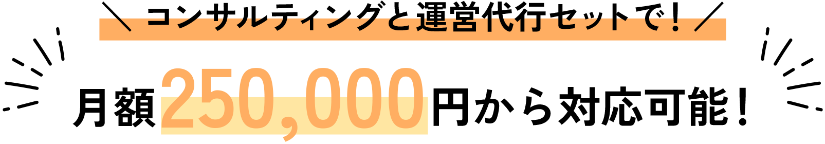 コンサルティングと運営代行セットで！月額150,000円から対応可能！